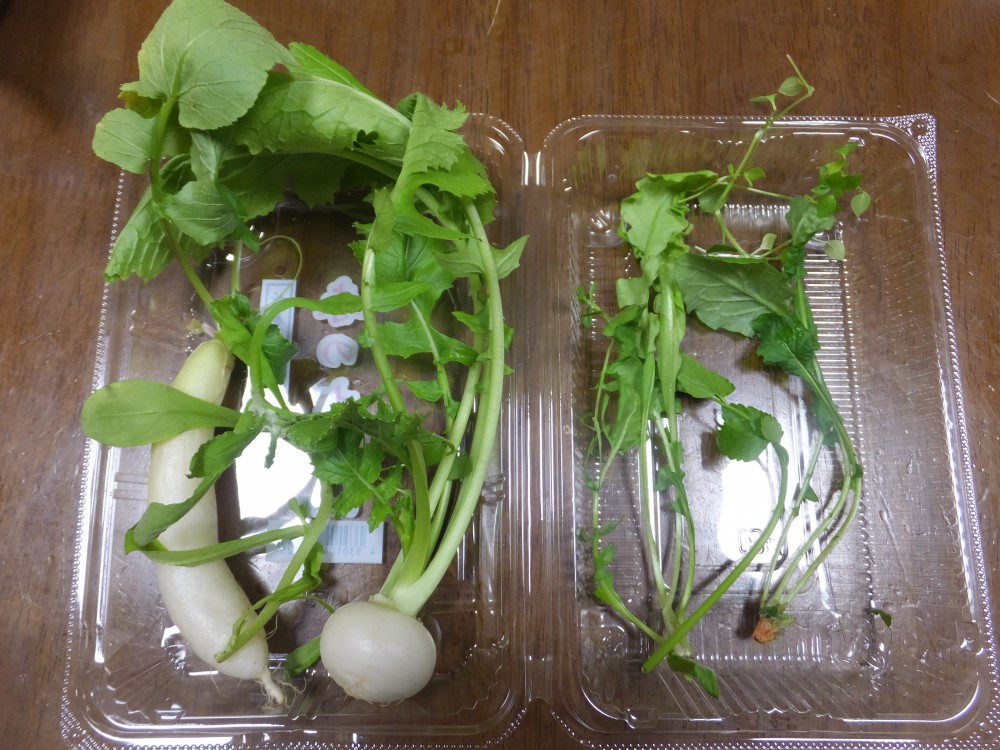 春の七草 芹 せり 薺 なずな 御形 ごぎょう ハハコグサ 繁縷 はこべら 仏 ほとけ の座 タビラコ 菘 すずな カブ 蘿蔔 すずしろ ダイコン 社会福祉法人 杉和会