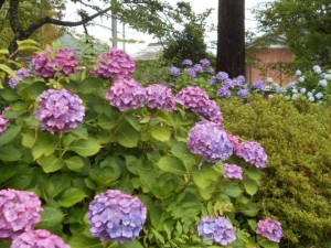 DSCN8463