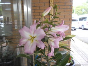 DSCN8497