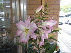 DSCN8498