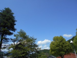 DSCN8536