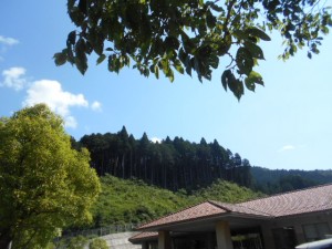 DSCN8537