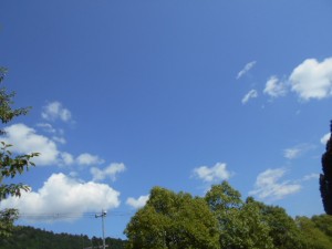 DSCN8538