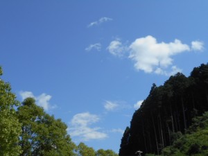 DSCN8539