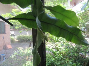 IMG_3541