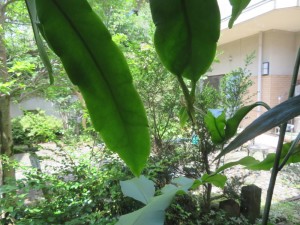 IMG_3542