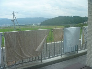 P1070305