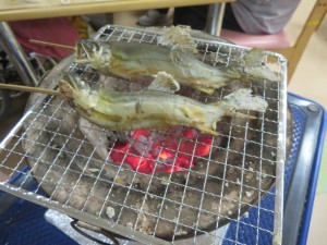 IMG_3946
