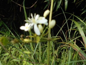 DSCN8570