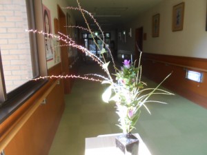 DSCN8659
