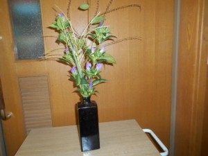 DSCN8660