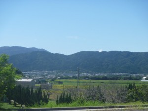 ようやく秋がきました