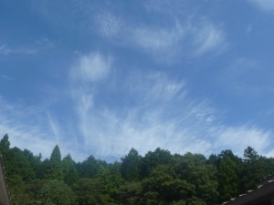 秋空の元