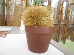 DSCN8705