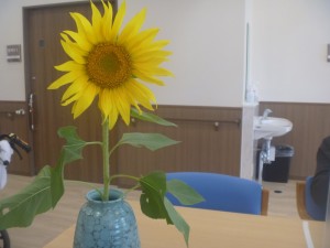 机に飾られた1本のひまわりの花