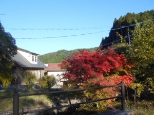 DSCN8812